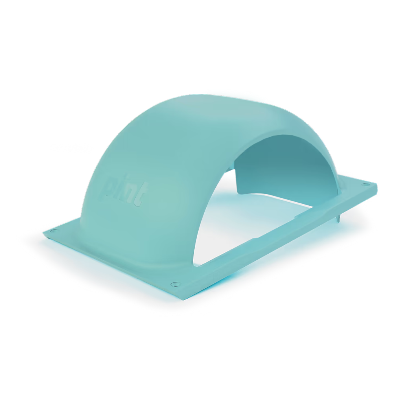 Onewheel Pint Fender Mint